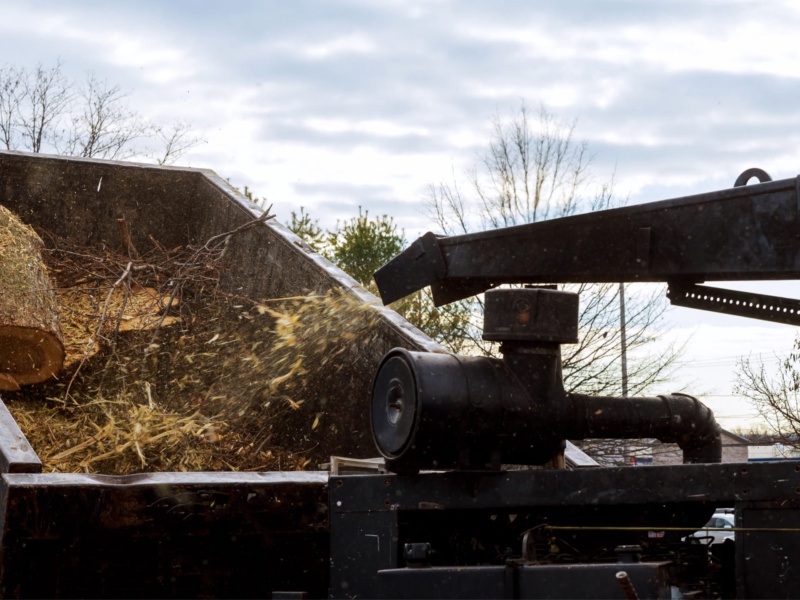 Explore Unconventional Uses for Roll-Off Dumpsters